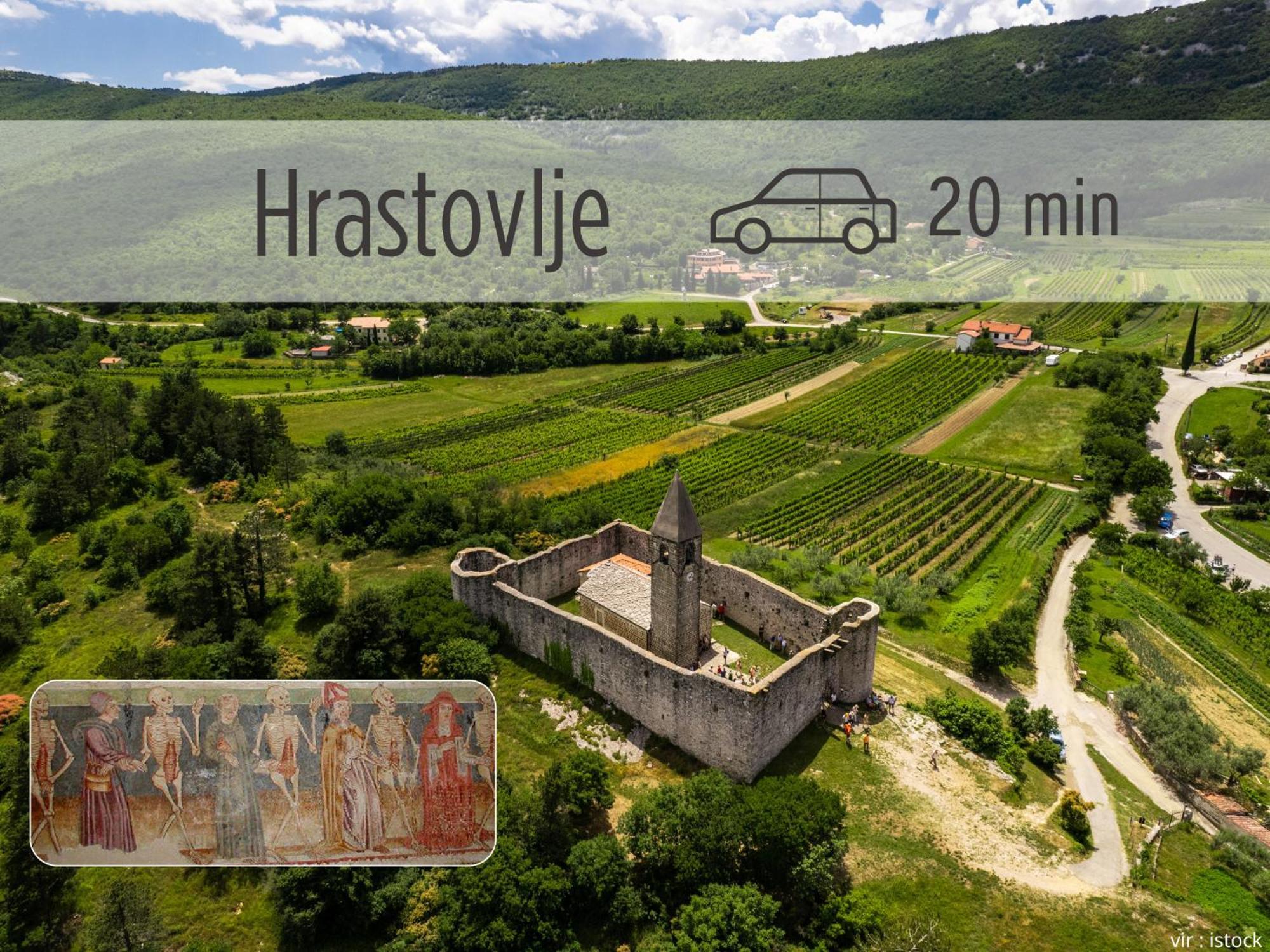 Casa Miranda - Family Comfort In A Quiet Area, Near The Sea, With Bbq And Free Parking Zgornje Skofije Exteriér fotografie